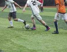 赛事分析,内含总分胜,负及专家详,万博manbetx体育平台,万博体育官网,万博体育app下载,ManBetX,SPORTS