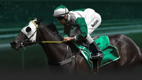 河北：国球梦想启航之地→